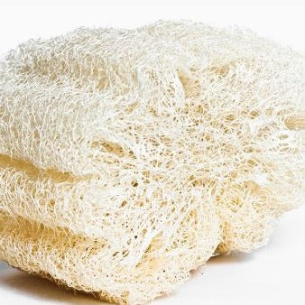 Egyptian Loofah Sponge